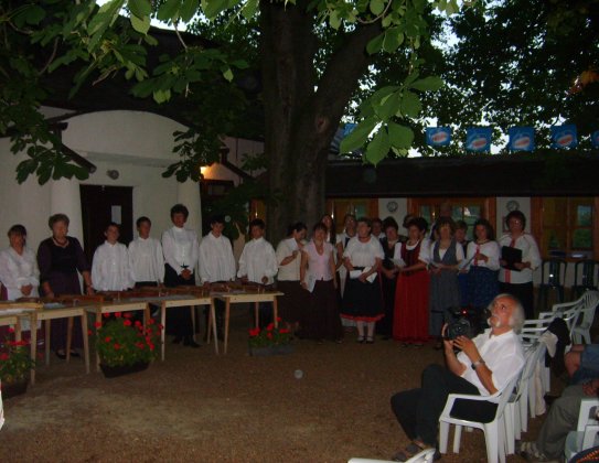 Szigligeti Továbbképző Tábor 2008.